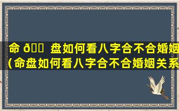 命 🐠 盘如何看八字合不合婚姻（命盘如何看八字合不合婚姻关系）